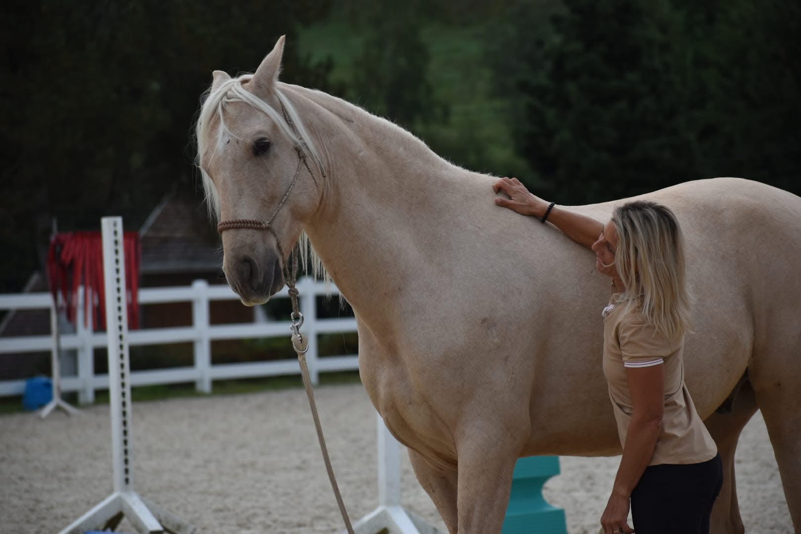 STAGE ETHOLOGIE CONFIRMES DEMI JOURNEE